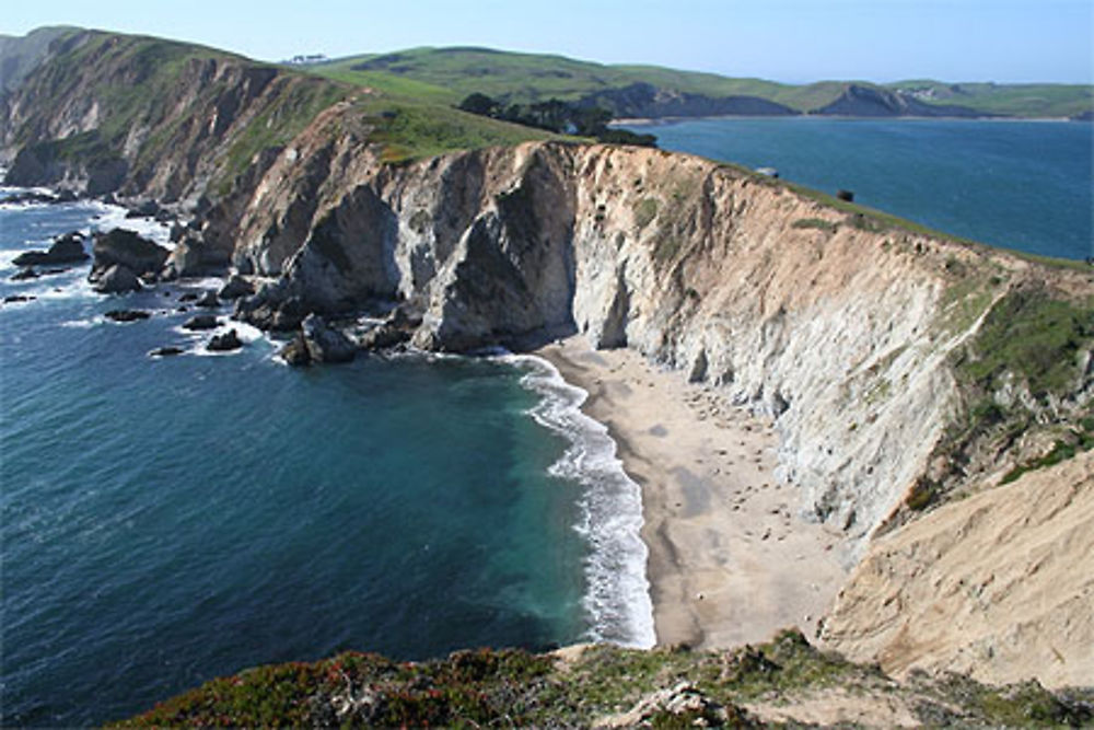 Point Reyes Seashore- plage des élephants de mer