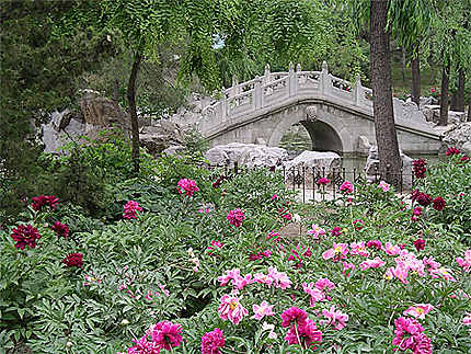 Au grand view garden de Pékin