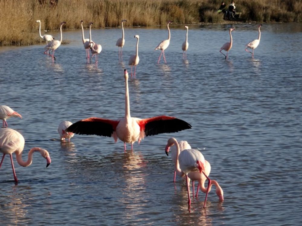 Parade de couleurs