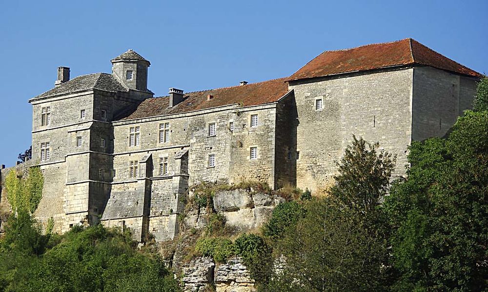 Château de Salmaise