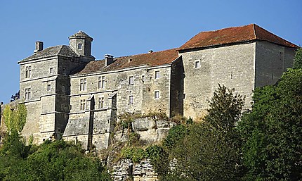 Château de Salmaise