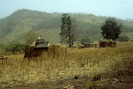 Vallée des tambermas