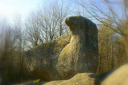 Roc de l'oie Roc de l'oie