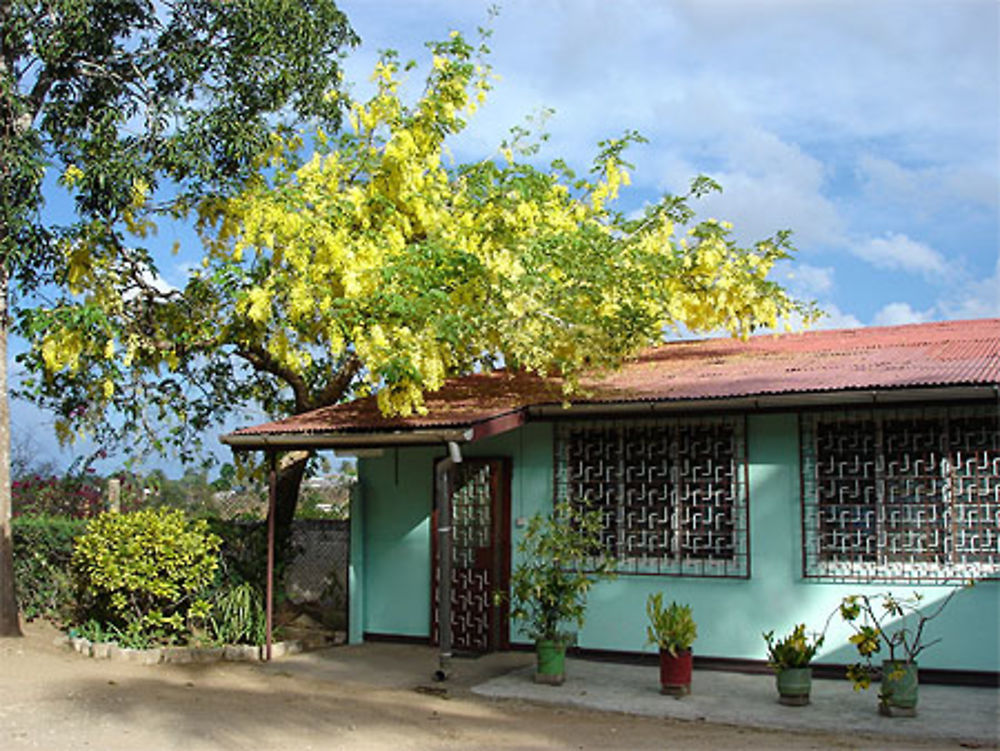 Mission catholique