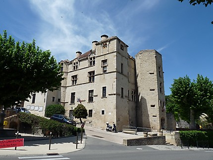 Chateau Arnoux- Saint Auban