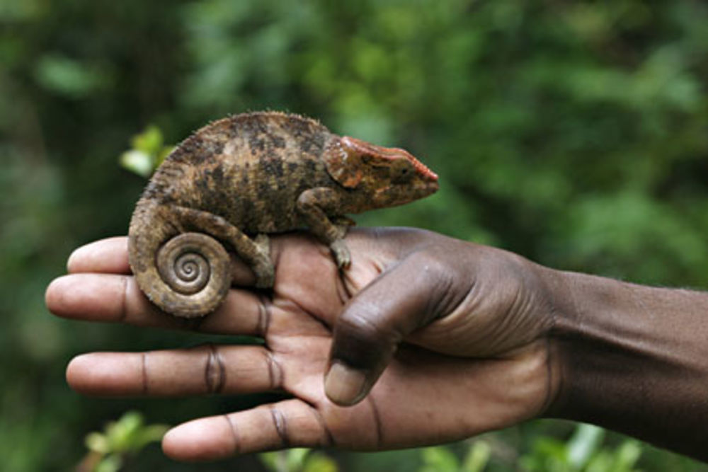 L'homme et la nature