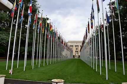 Les drapeaux nationaux devant l' ONU
