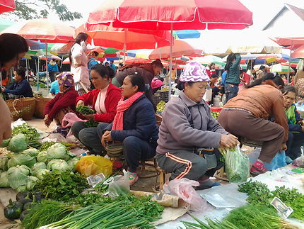 Marché aux légumes  à Luang Nam Tha