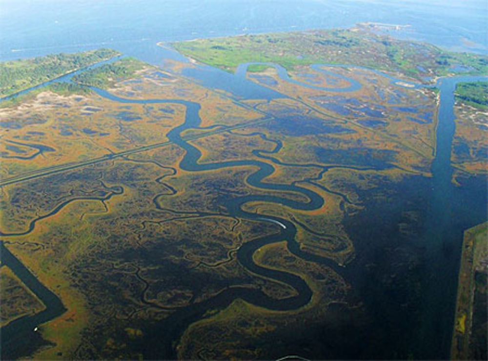 Lagune de Venise