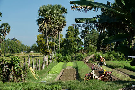 Jardin dans la campagne de Kampot