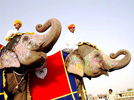 Les éléphants de Jaipur