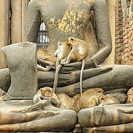 Bouddha en protection des singes 
