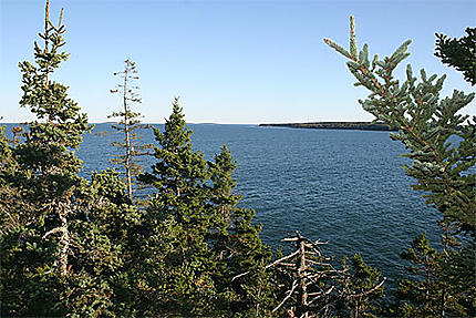 Bass Harbor