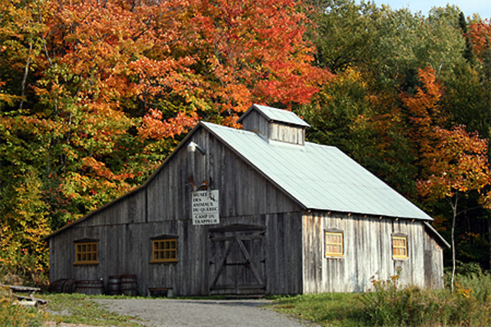 Période des couleurs