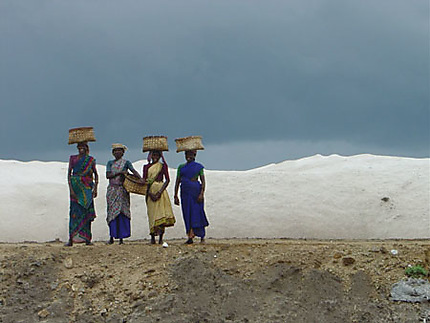 Salines