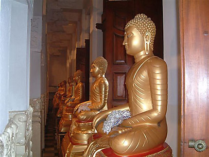 Bouddhas du temple de la dent