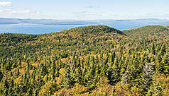 La Gasp&eacute;sie (Qu&eacute;bec) : les coups de coeur d'El&eacute;onore Friess