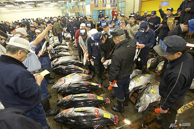 Tokyo - Le déménagement du marché aux poissons Tsukiji est reporté