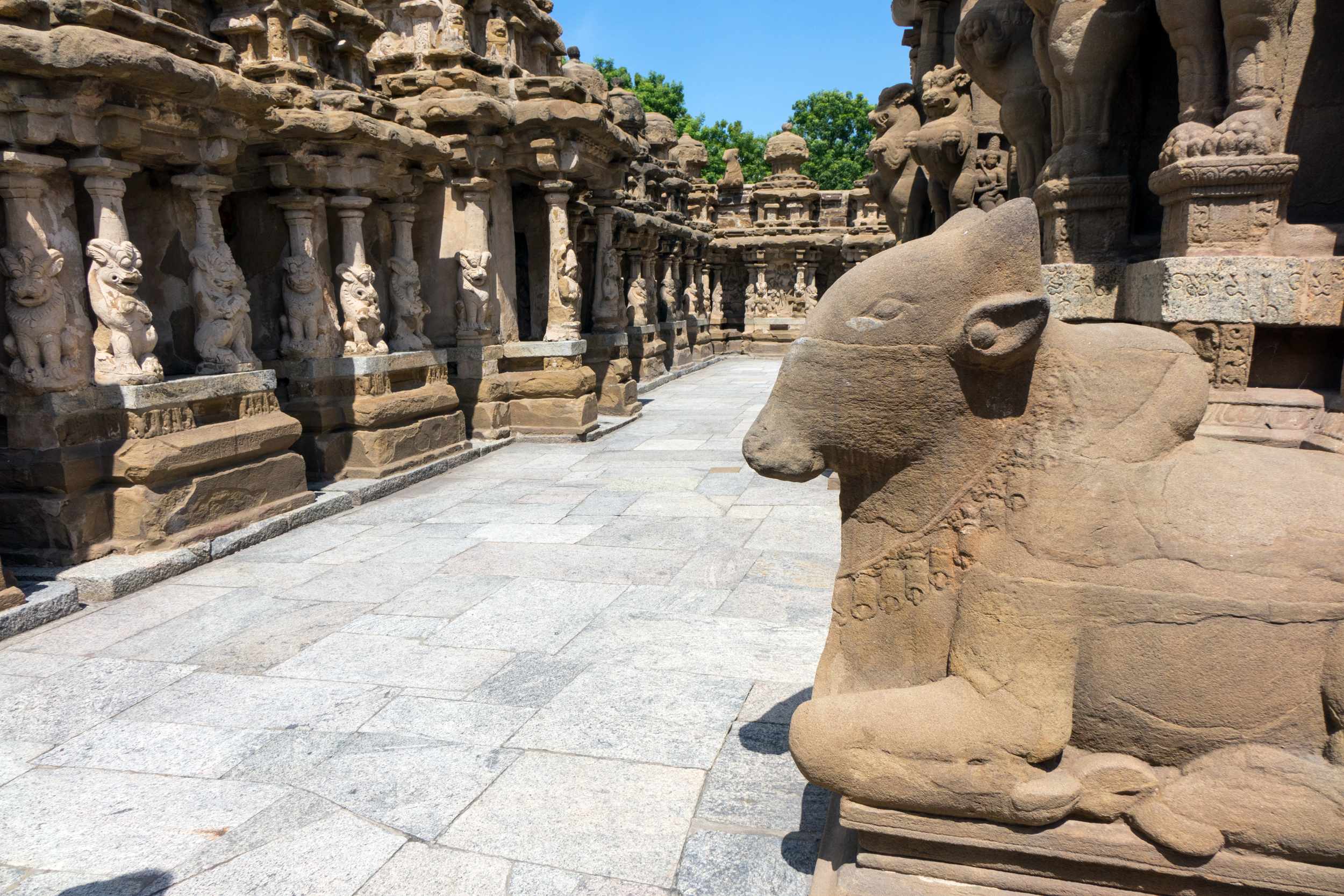 Dans le temple Kailasanathar Dans le temple Kailasanathar