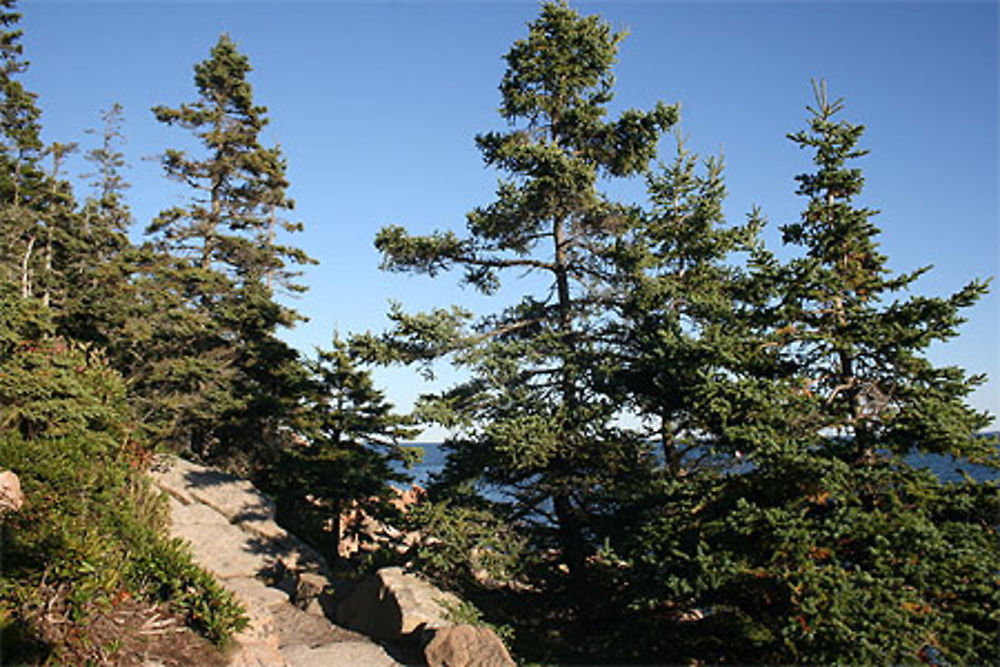 Près du phare !