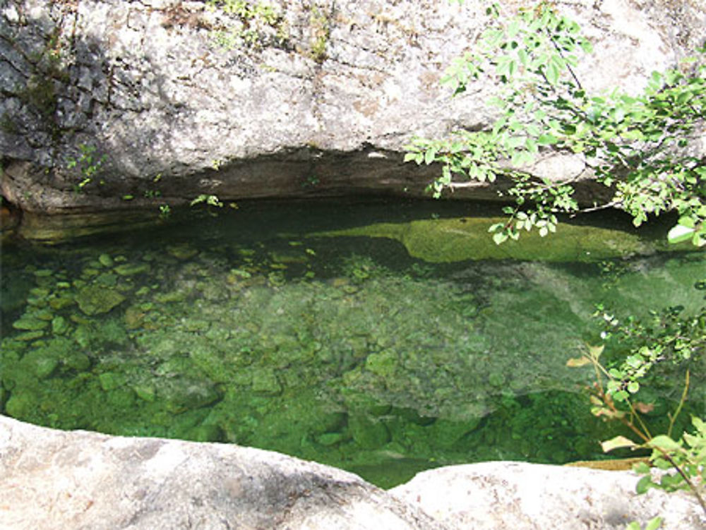 Torrent en contrebas de Zonza