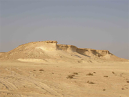 Dune de Zeekrit