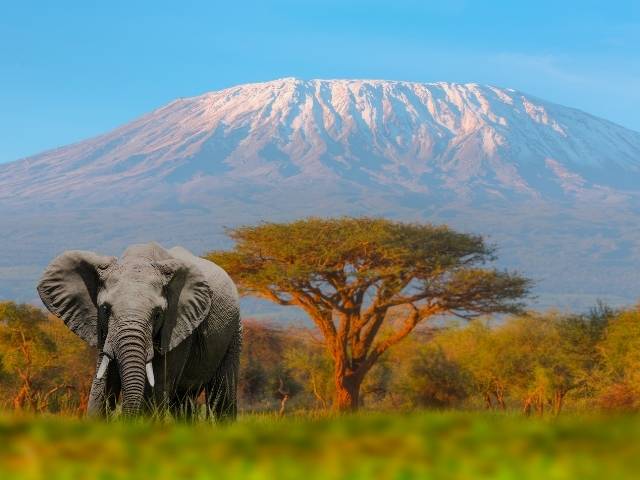Tanzanie : safaris et nature spectaculaire