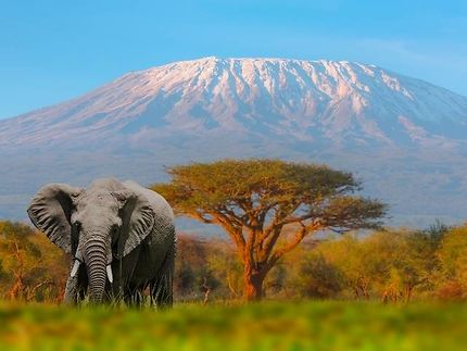 Tanzanie : safaris et nature spectaculaire