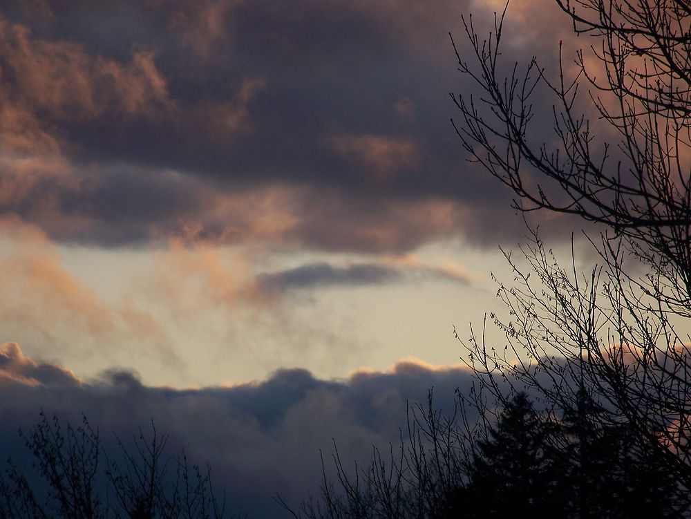 Ciel fougueux