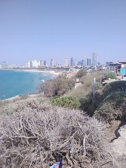 Bord de mer à Tel Aviv