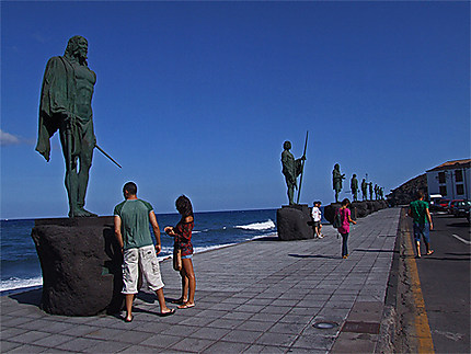 Rois de Tenerife