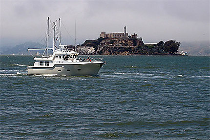 Vue sur Alcatraz