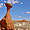 Toadstool hoodoos