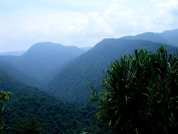 Parc national Braulio Carillo