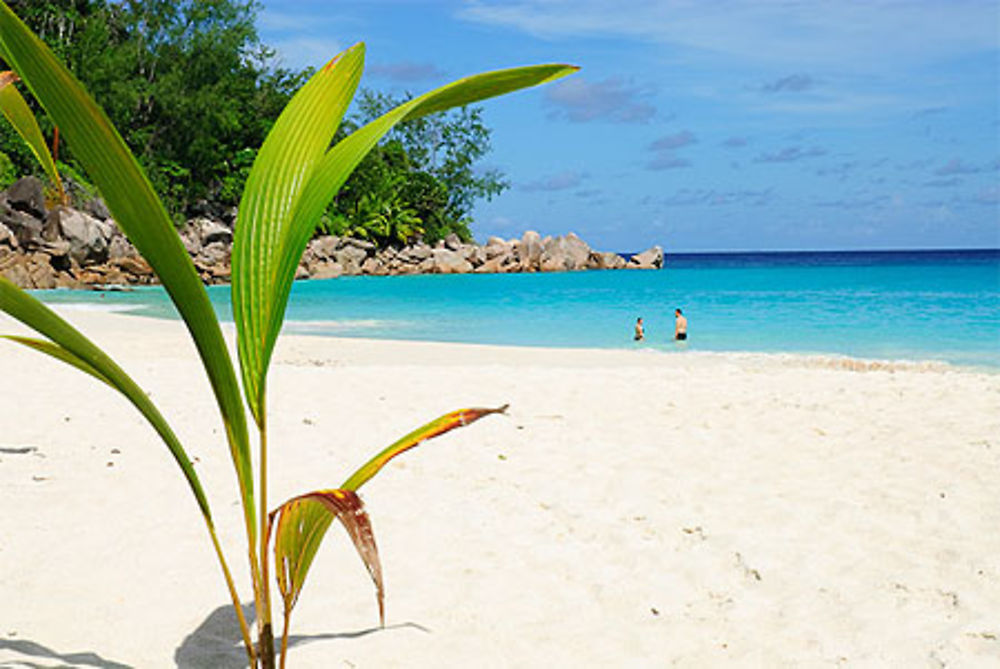 Anse Georgette sous le soleil