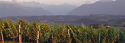 En Béarn, au pays du jurançon