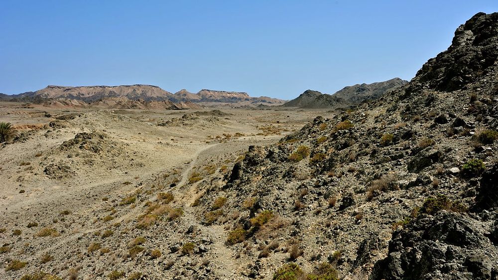 Île de Masirah