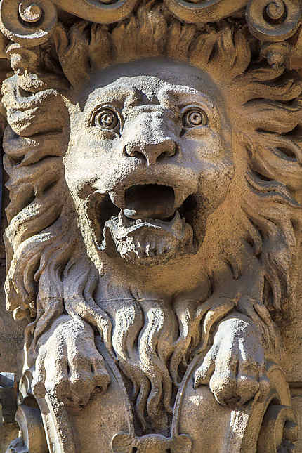 Marseille - Un lion, gardien d'immeuble