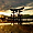 le Torii de Miyajima