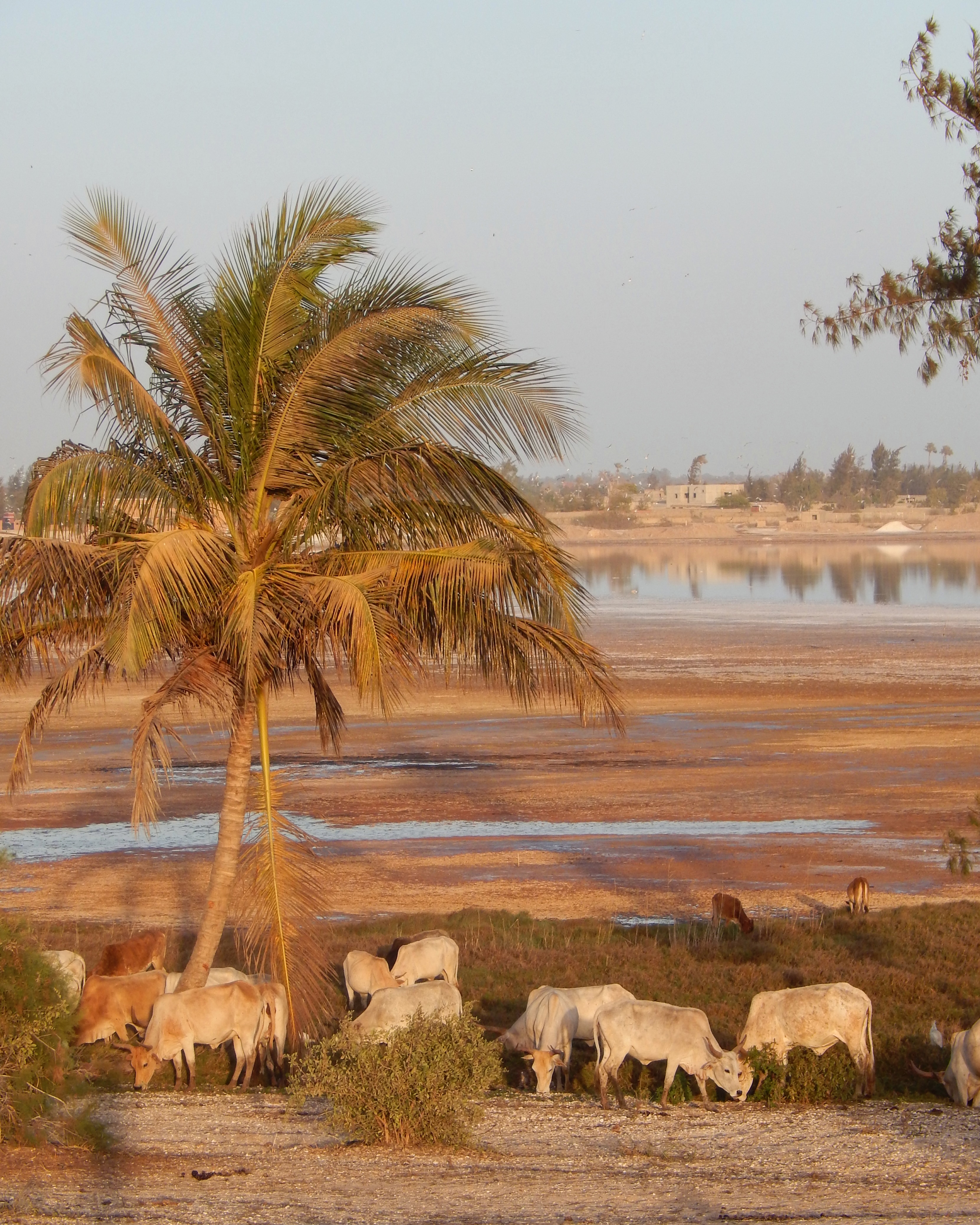 Lac Rose ou Lac Retba
