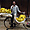 Vendeur de bananes à Patan