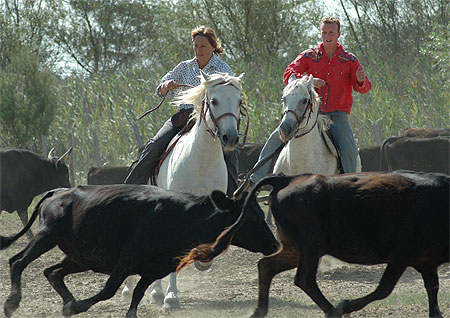 La Camargue dans l'Aude La Camargue dans l'Aude