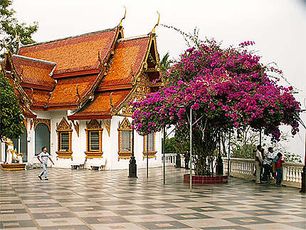 Wat Doï Suthep