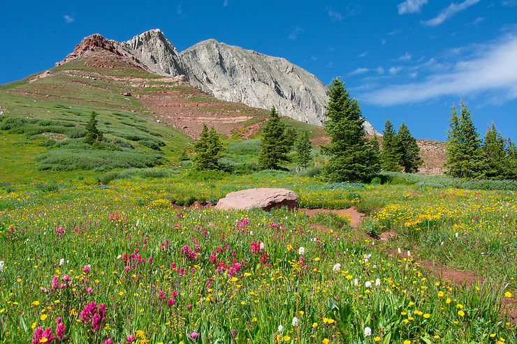 Colorado Trail (États-Unis)