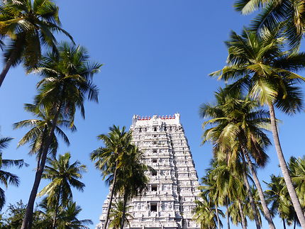 Gopuram du temple de Thiruvidaimarudhur