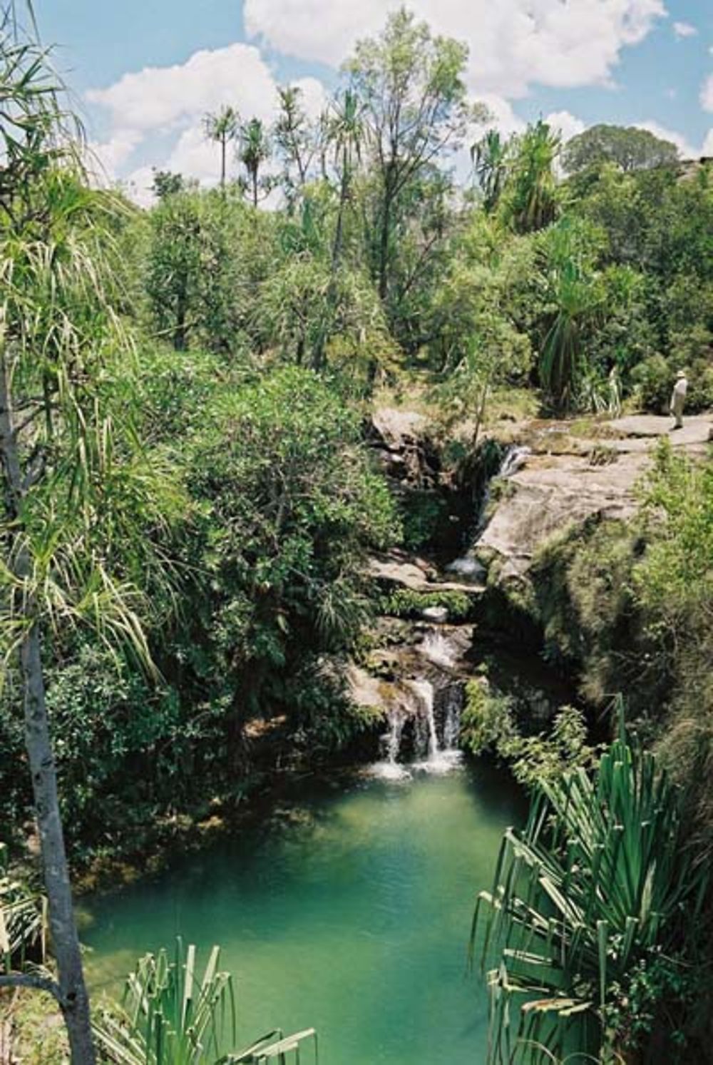 Piscine naturelle