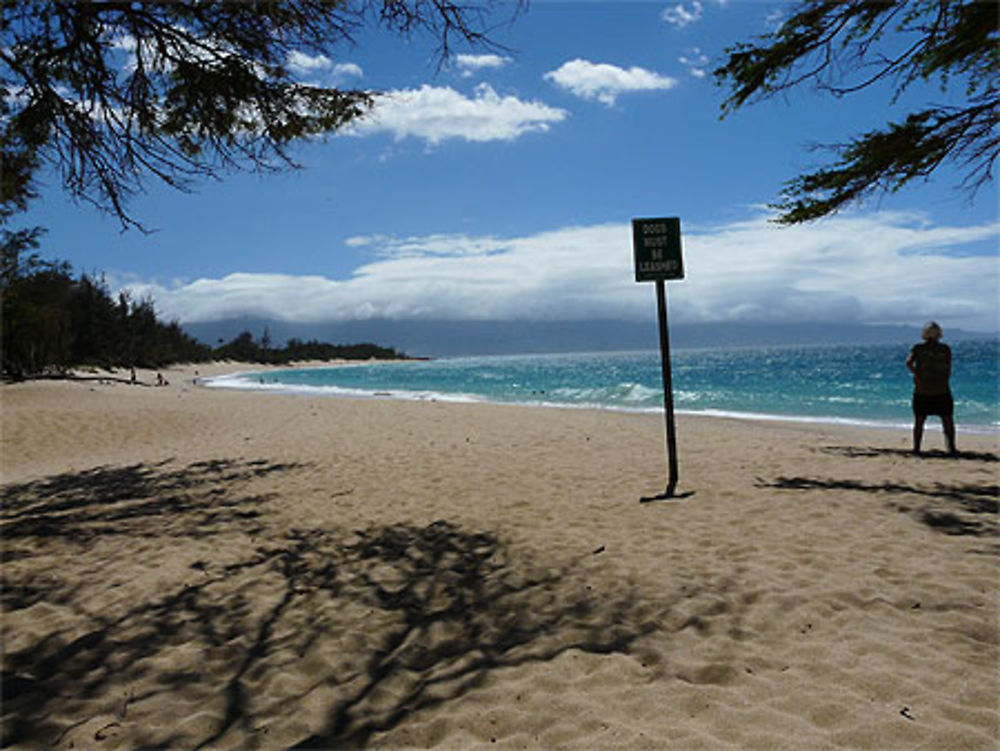 Vent, soleil et belles vagues