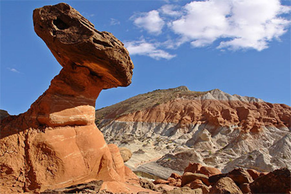 Toadstool hoodoos