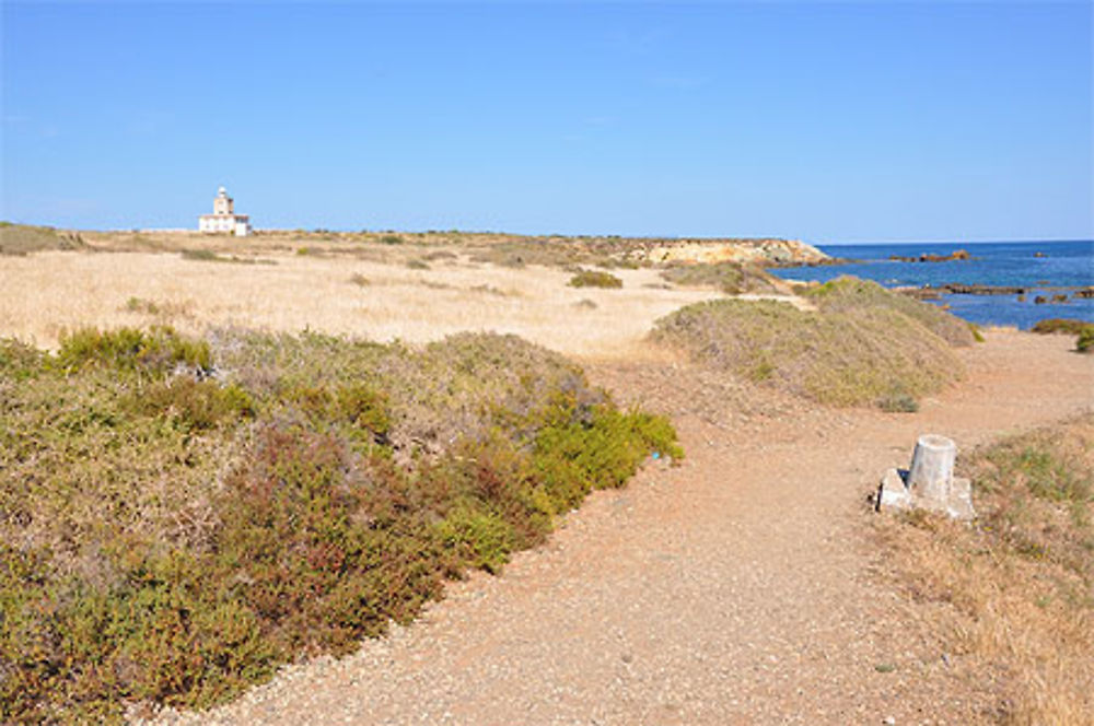 Isla de Tabarca