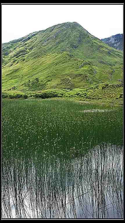 Connemara